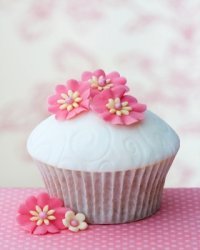 vanilla cupcake pictures